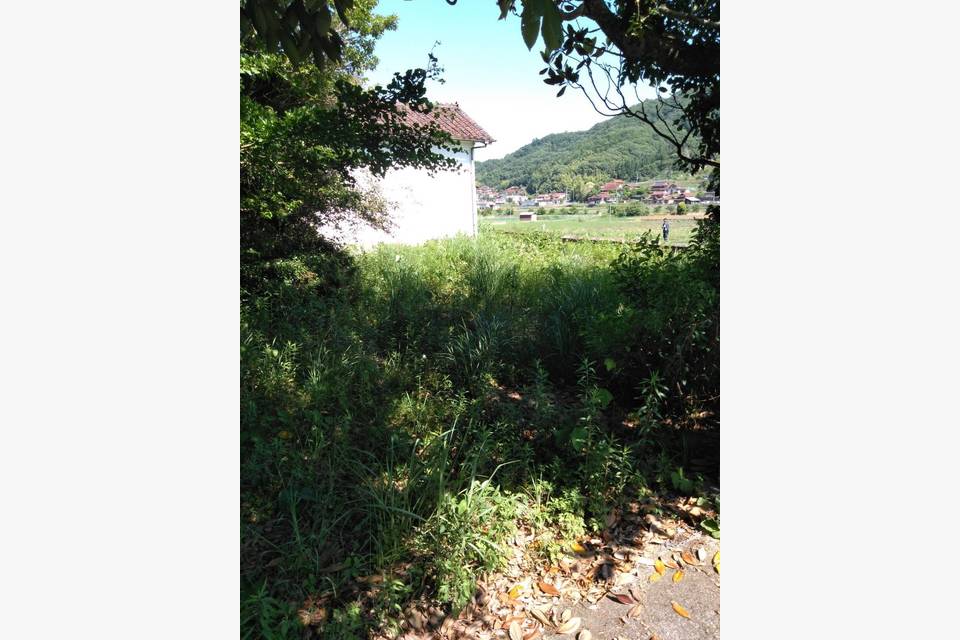 東広島市西条町の草刈りに行ってきました！！の画像