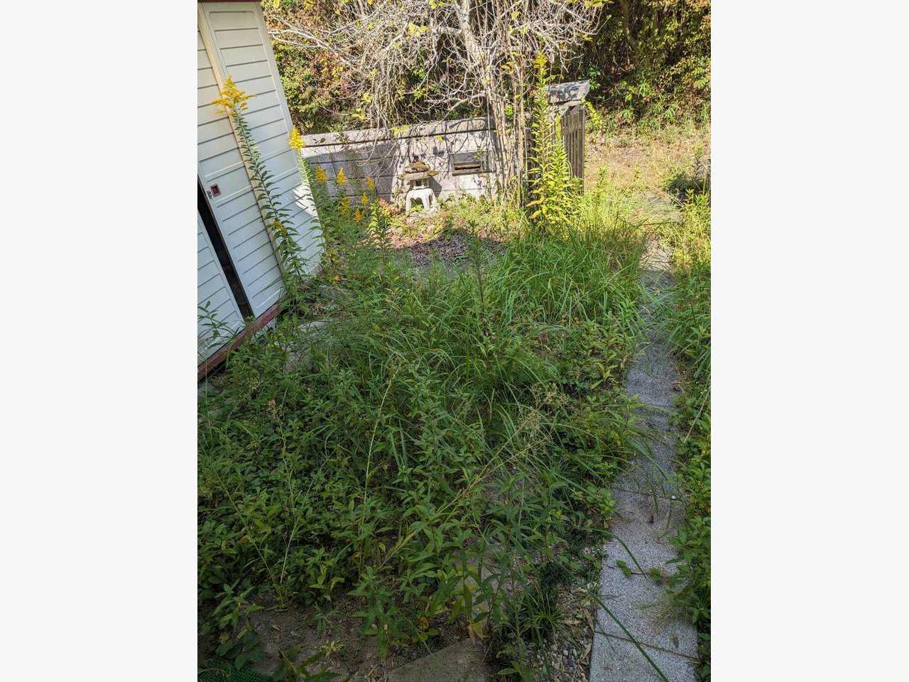 東広島市に草刈りに行きました☆の施工後画像