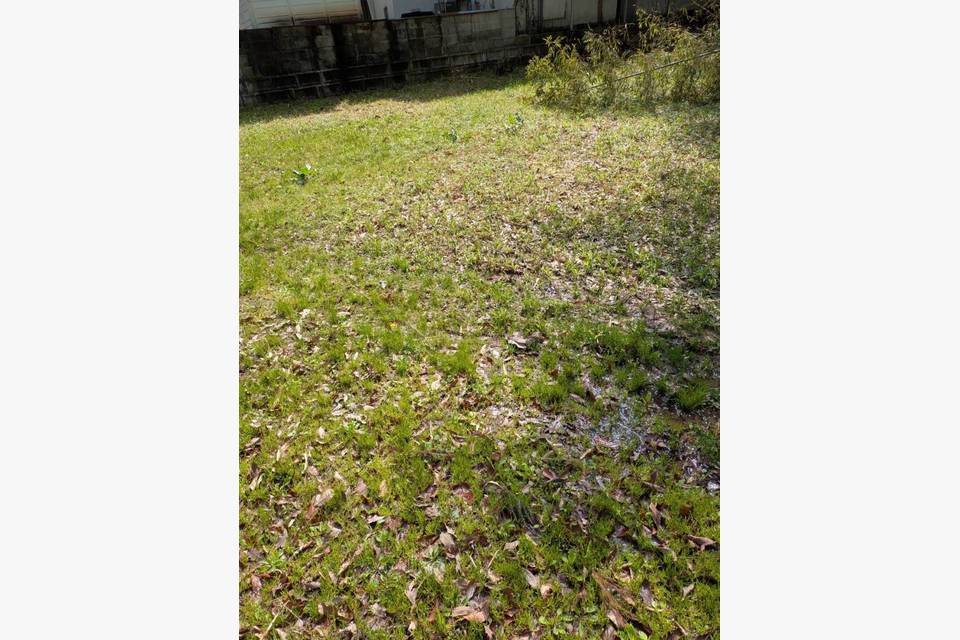 東広島市西条町に草刈りに行きました☆の施工前画像