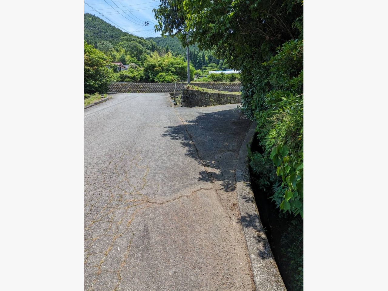 東広島市に木の剪定と草抜きに行きました♪の施工後画像