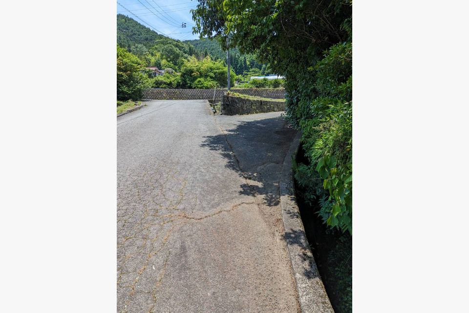 東広島市に木の剪定と草抜きに行きました♪の画像