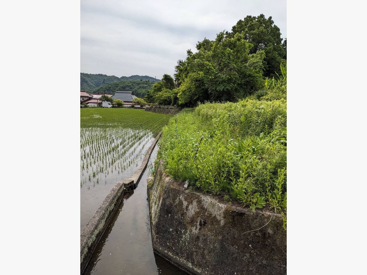 東広島市に草刈りに行きました☆の施工後画像
