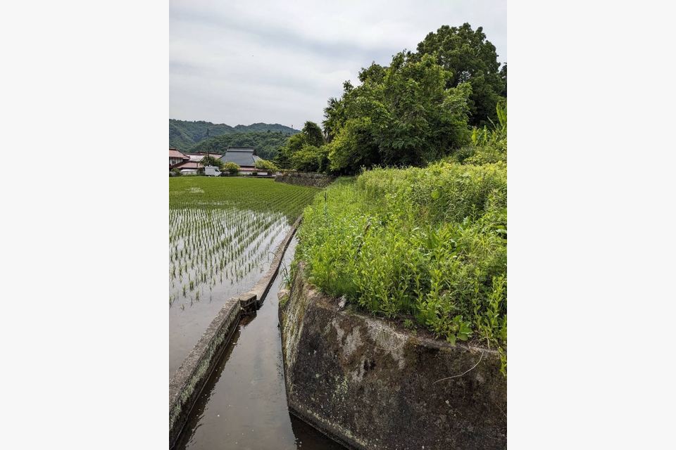 東広島市に草刈りに行きました☆の施工後画像