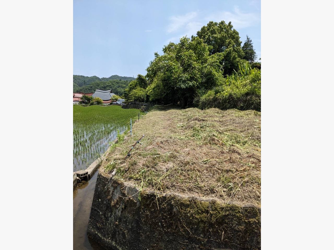東広島市に草刈りに行きました☆の施工前画像