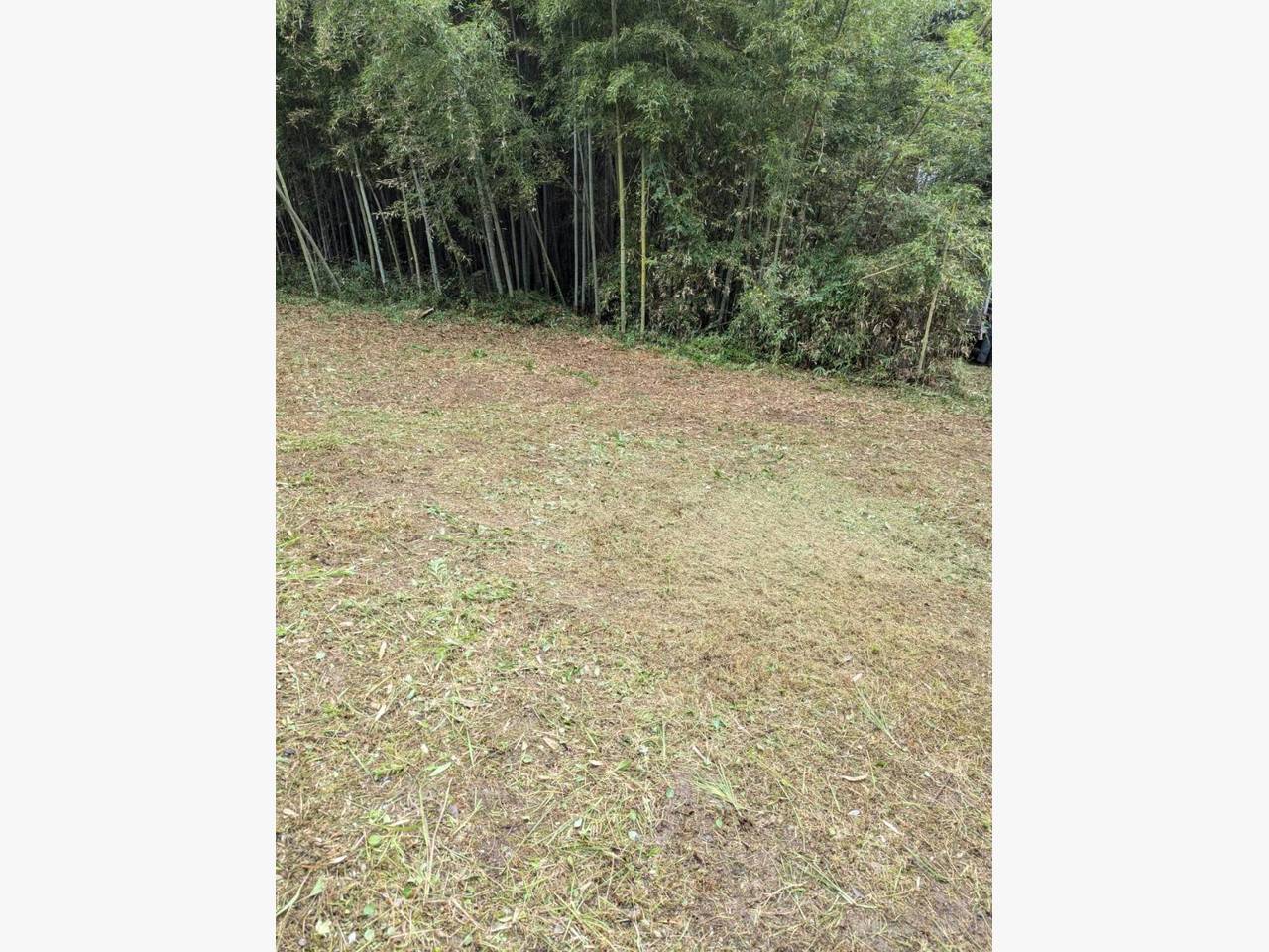 東広島市に草刈りに行きました♪の施工後画像