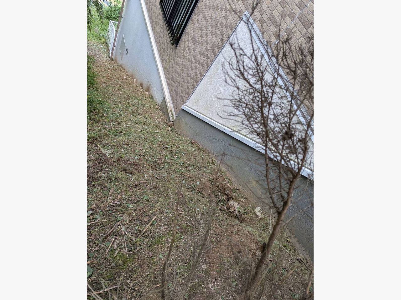 マンションの周りの草刈りに行きました☆の施工後画像