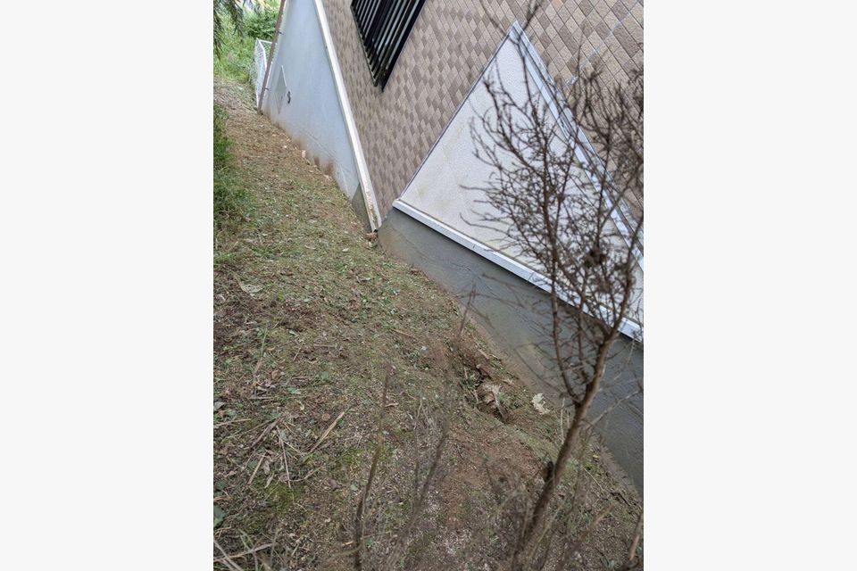 マンションの周りの草刈りに行きました☆の画像