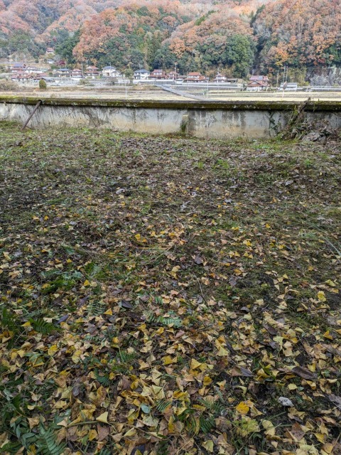 東広島市に草刈りに行きました♪の画像