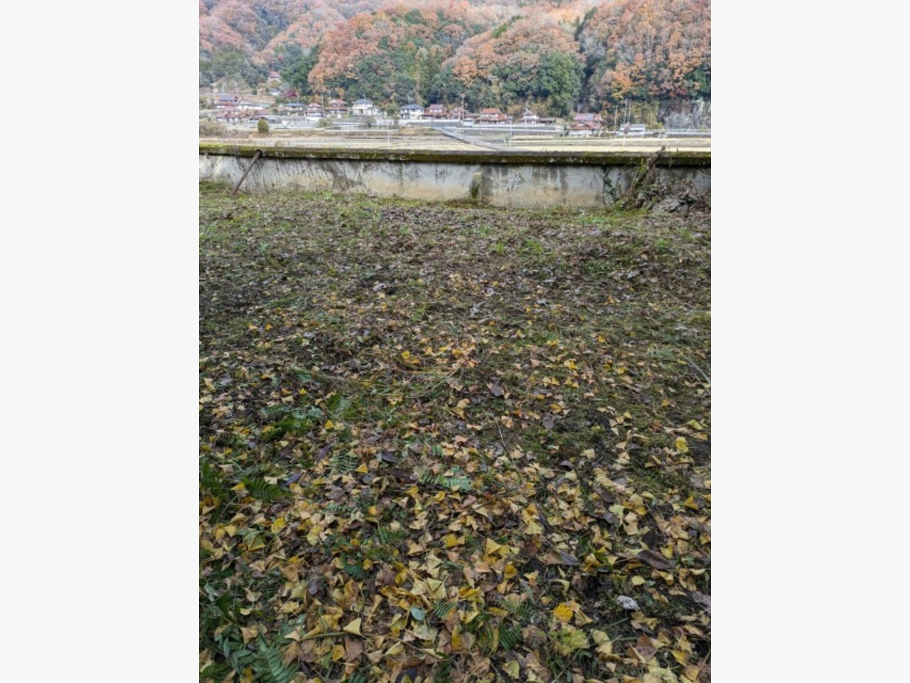 東広島市に草刈りに行きました♪の施工後画像