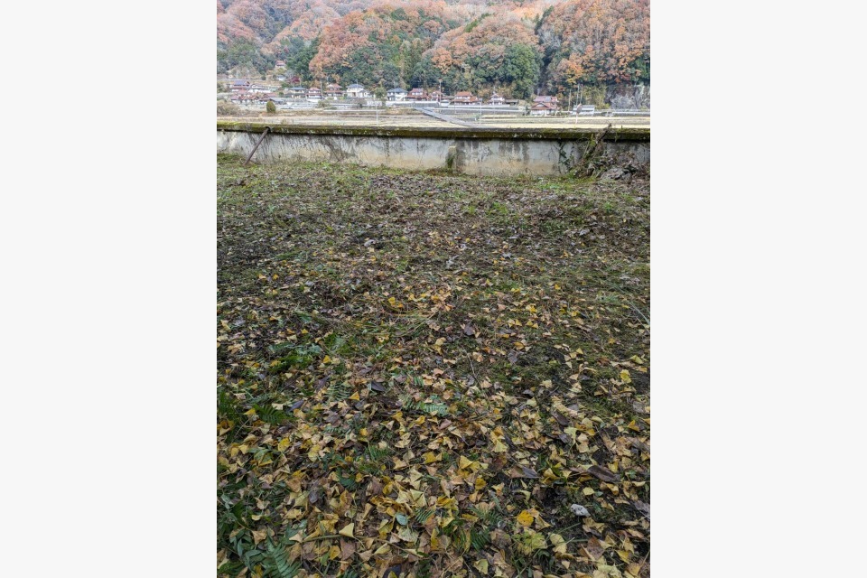 東広島市に草刈りに行きました♪の画像