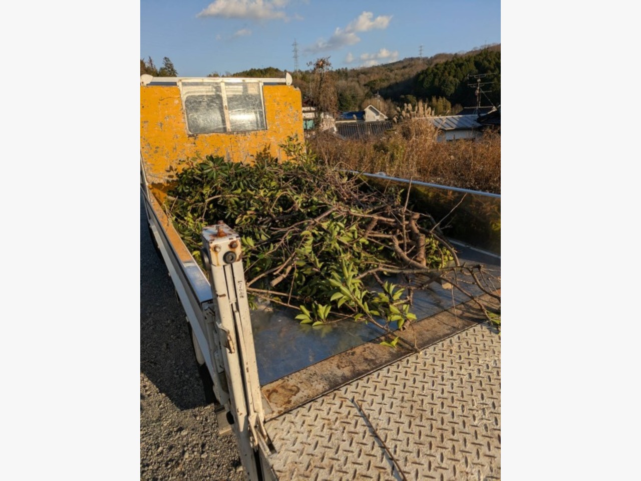 広島市西区に木の伐採に行きました☆の施工後画像