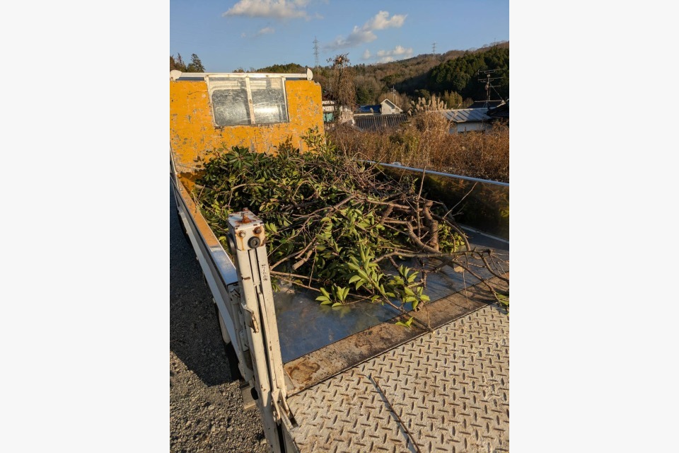 広島市西区に木の伐採に行きました☆の画像