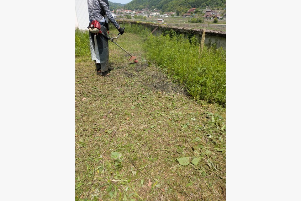 東広島市の空き家の草刈りに行きました☆の画像